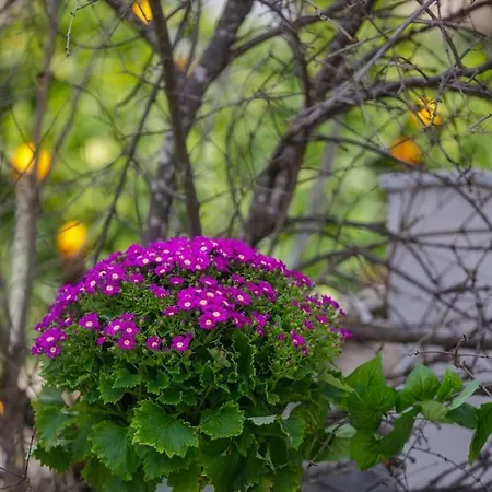 Over The Messinian Plain קלמאטה