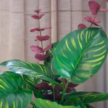 Over The Messinian Plain דירה קלמאטה